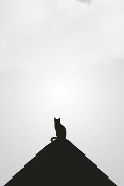 minimal-blogger-11-ogw6v2xhiykjkglcbcath685qobodkmr0r3cplch9s minimal-blogger-11-ogw6v2xhiykjkglcbcath685qobodkmr0r3cplch9s